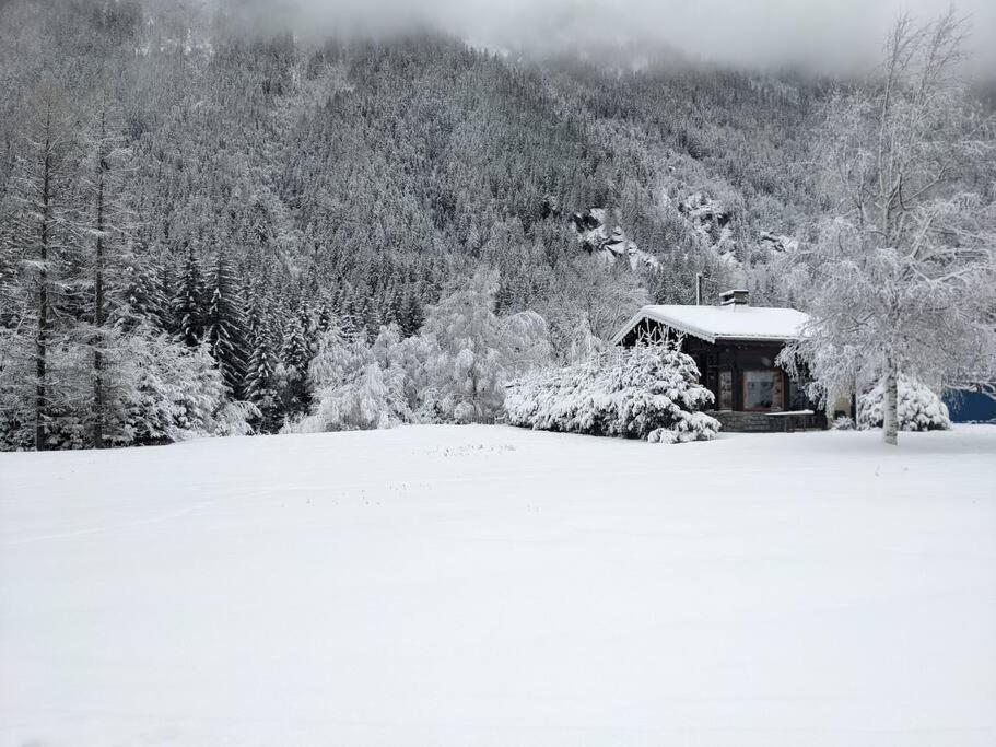 Chalet L'Ilet Ensoleille /Sunny Island Chalet Chamonix Ngoại thất bức ảnh