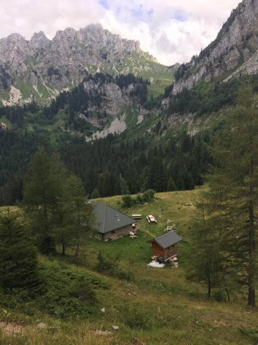 Chalet L'Ilet Ensoleille /Sunny Island Chalet Chamonix Ngoại thất bức ảnh