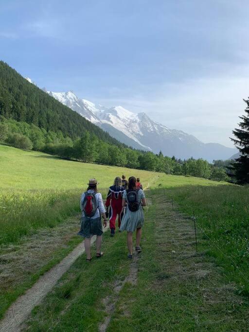 Chalet L'Ilet Ensoleille /Sunny Island Chalet Chamonix Ngoại thất bức ảnh
